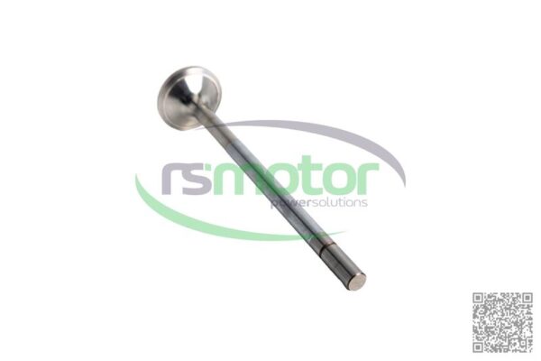 Válvula de escape Jenbacher RS-369443
