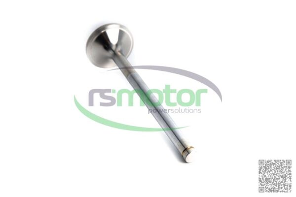 Válvula de escape Jenbacher RS-375630