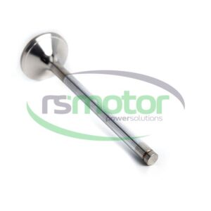 Intake Valve Jenbacher RS-375631