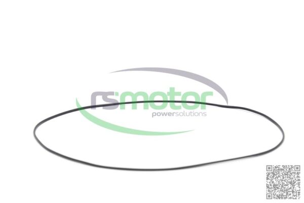 O-ring Jenbacher RS-376469