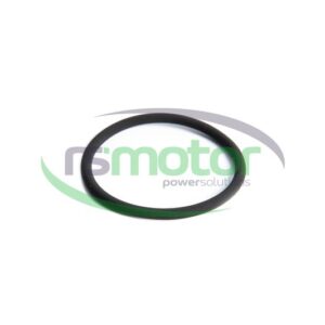 Junta tórica Jenbacher RS-376475
