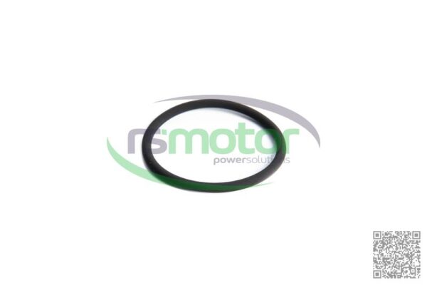 Junta tórica Jenbacher RS-376475