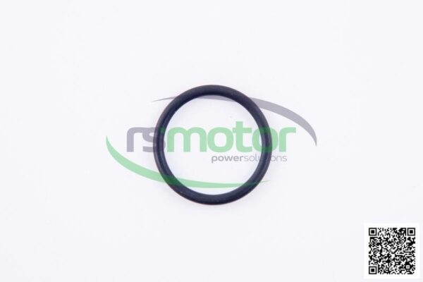 O-ring Jenbacher RS-376482