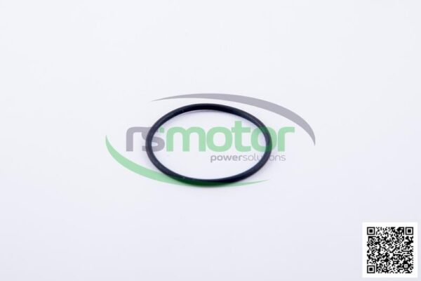 O-ring Jenbacher RS-376483