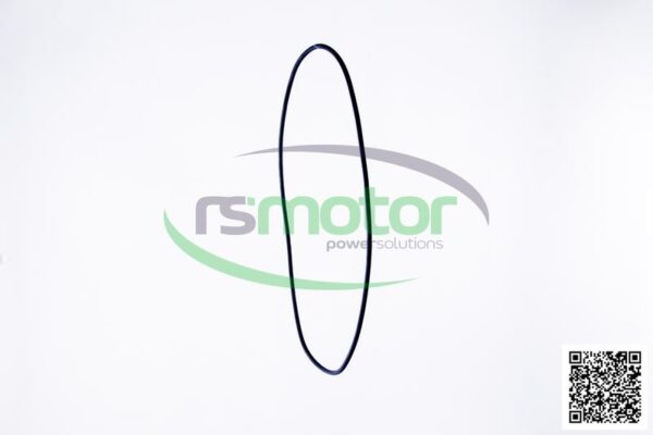 O-ring Jenbacher RS-376488