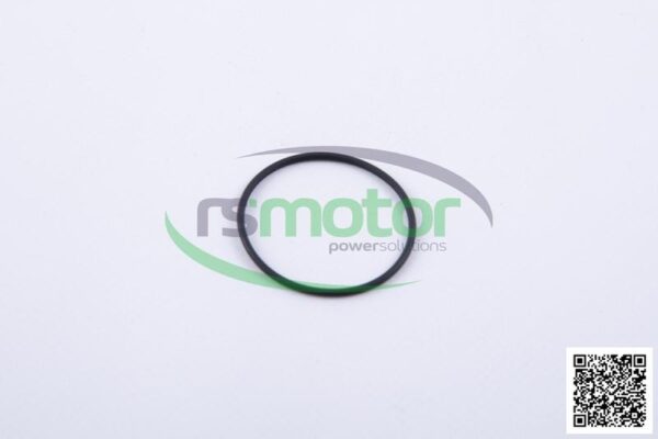 Junta tórica Jenbacher RS-376507