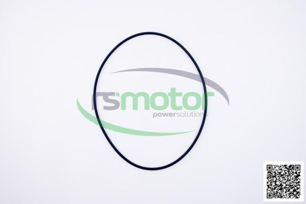 Sealing Ring Set Jenbacher RS-386808