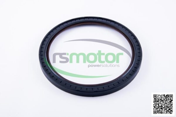 Shaft Seal Jenbacher RS-395570