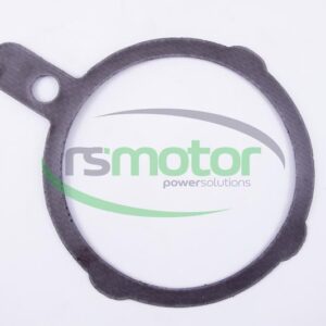 Gasket Jenbacher RS-398673