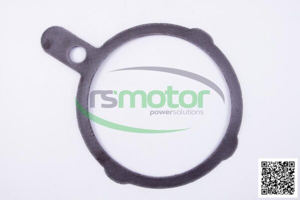 Gasket Jenbacher RS-398673