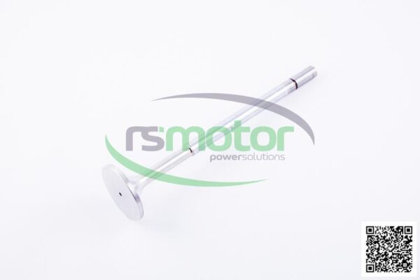 Intake Valve Jenbacher RS-414487