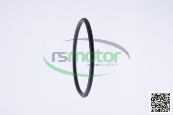 O-ring Jenbacher RS-456731