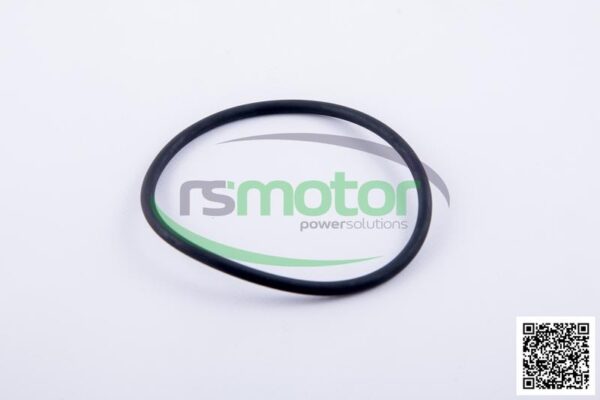 O-ring Jenbacher RS-456732