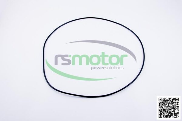 O-Ring Jenbacher RS-456744