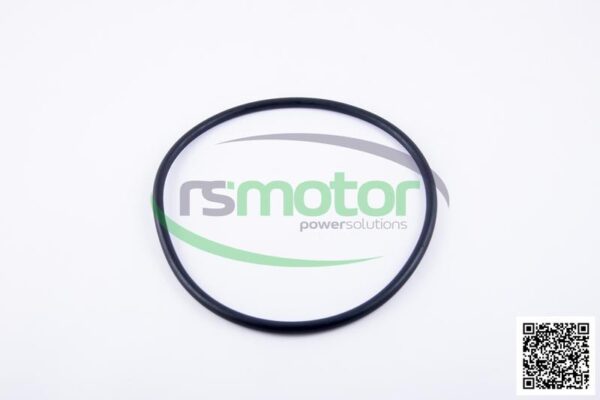 O-Ring Jenbacher RS-456747
