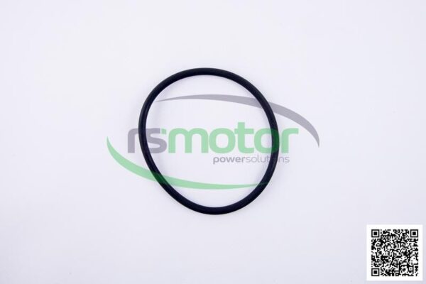 O-ring Jenbacher RS-456800