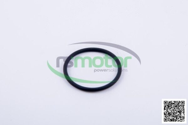 O-Ring Jenbacher RS-468729