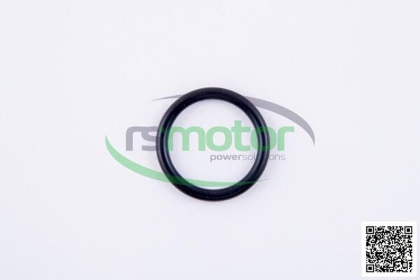O-ring Jenbacher RS-497431