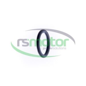 Junta tórica Jenbacher RS-497554