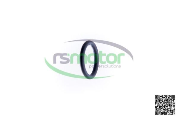 O-ring Jenbacher RS-497554