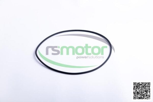 O-Ring Jenbacher RS-540808
