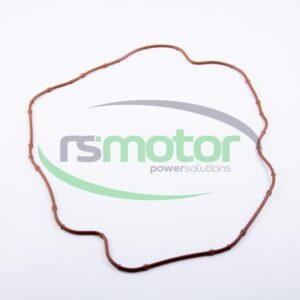 Gasket Jenbacher RS-557645
