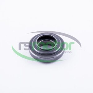 Valve Spring Rotocap Jenbacher RS-578818