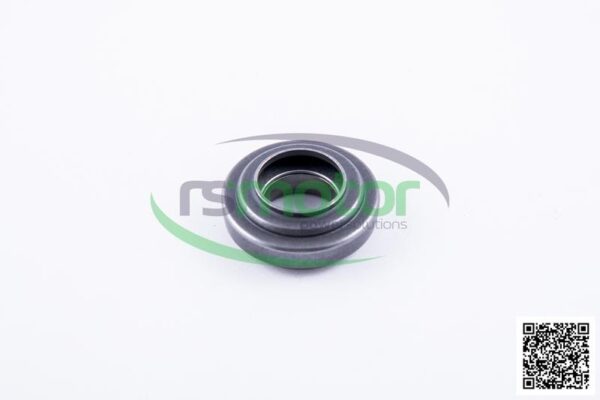 Valve Spring Rotocap Jenbacher RS-578818