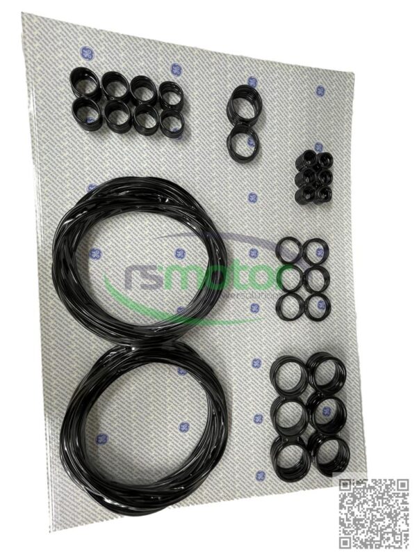 Sealing kit Jenbacher RS-582713