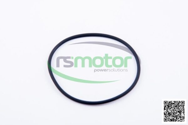 O-ring Jenbacher RS-622226