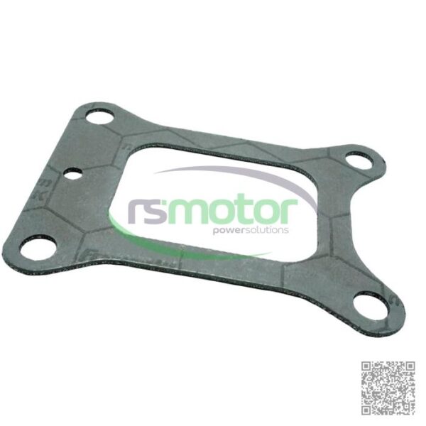 Exhaust Gasket Guascor RS-1640149 - Image 2