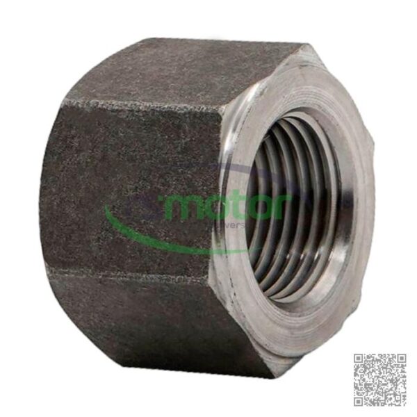 Cylinder Head Nut Guascor RS-1910086 - Image 2