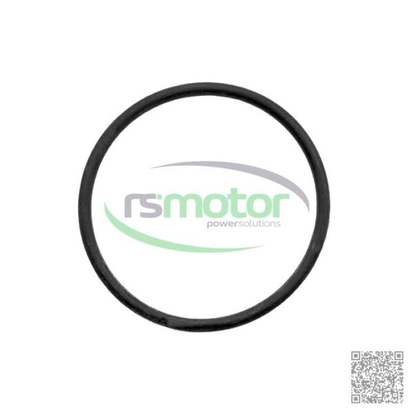 O-Ring Guascor RS-7212643 - Image 2