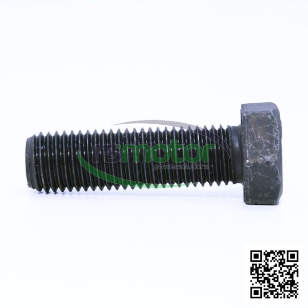 Tornillo hexagonal MWM RS-01101653 - Imagen 6
