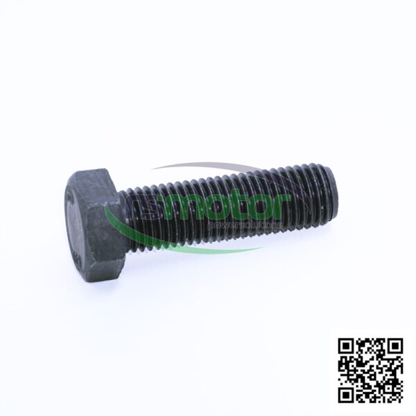 Tornillo hexagonal MWM RS-01101653