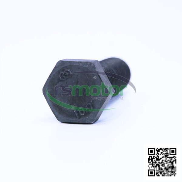 Tornillo hexagonal MWM RS-01101653 - Imagen 5