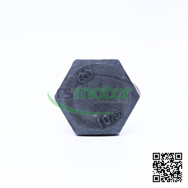 Tornillo hexagonal MWM RS-01101653 - Imagen 4