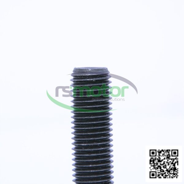Tornillo hexagonal MWM RS-01101653 - Imagen 3