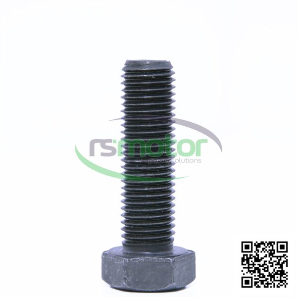 Tornillo hexagonal MWM RS-01101653 - Imagen 2