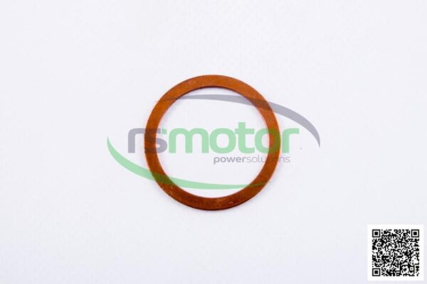 Sealing Ring MWM RS-01103520 - Image 2