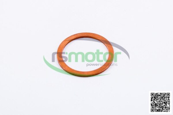 Sealing Ring MWM RS-01103520 - Image 3