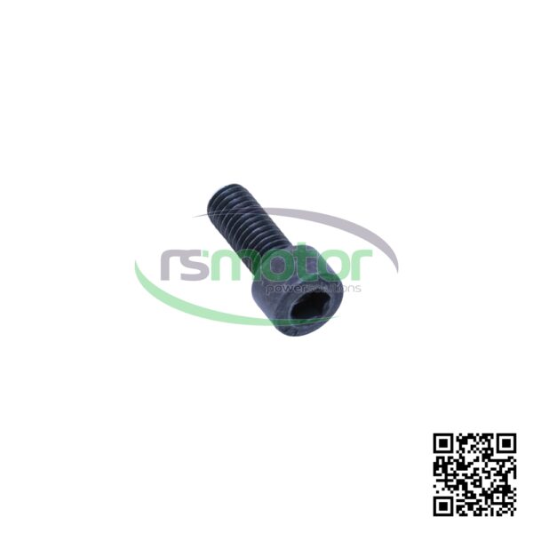 Hexagon Screw MWM RS-01110560