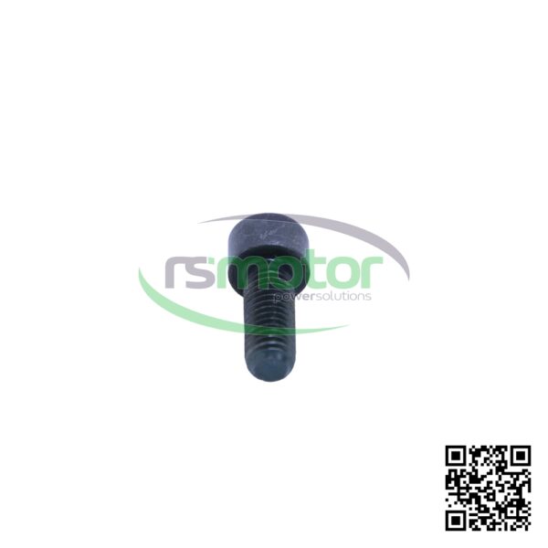 Hexagon Screw MWM RS-01110560 - Image 6