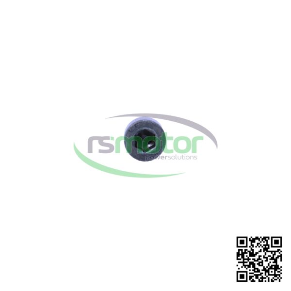 Hexagon Screw MWM RS-01110560 - Image 4