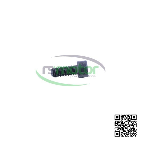 Hexagon Screw MWM RS-01110560 - Image 3