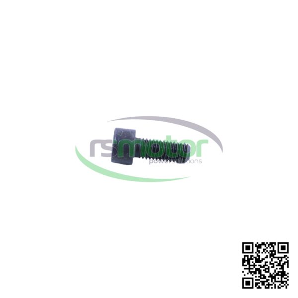Hexagon Screw MWM RS-01110560 - Image 2