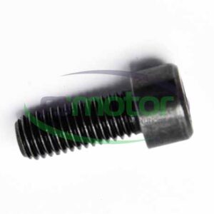 Cylinder Screw MWM RS-01110653