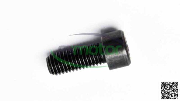 Cylinder Screw MWM RS-01110653