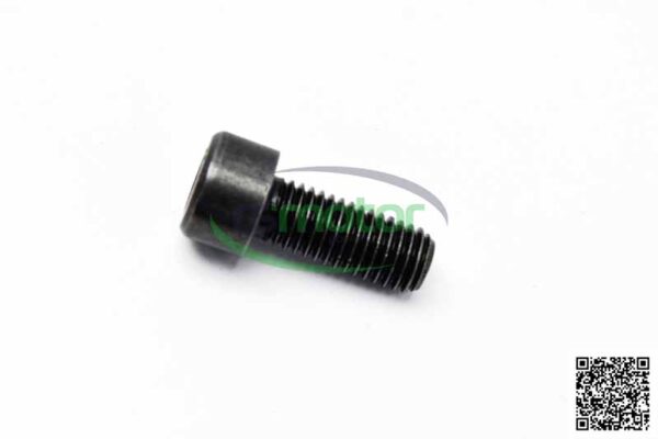 Cylinder Screw MWM RS-01110653 - Image 2