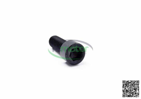 Cylinder Screw MWM RS-01110758 - Image 3